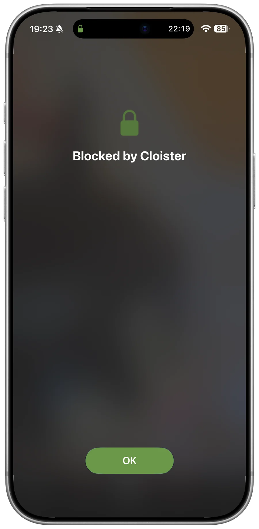 A blocked app on iPhone, covered by Cloister’s shield: a padlock, “Blocked by Cloister” and an OK button.